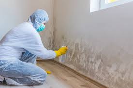 Best Real Estate Mold Inspection  in Franklin, PA